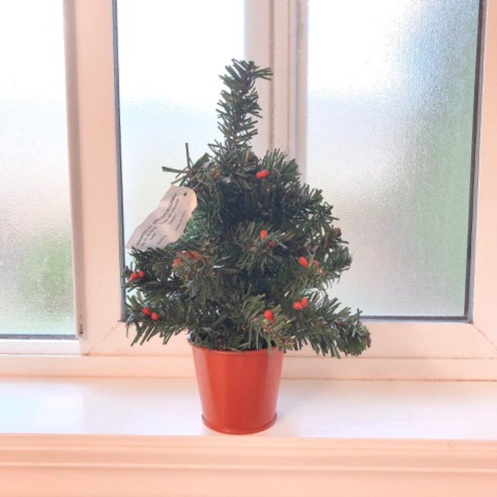 🎄 NEW Christmas Tree in a Pot (12 inch)